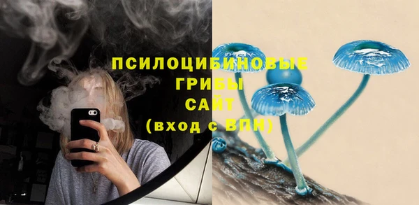 тгк Абаза