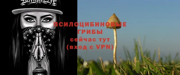 стафф Абинск