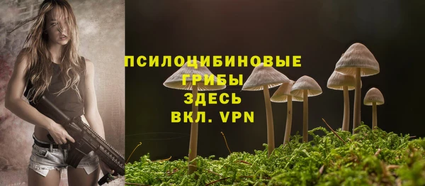 стафф Абинск