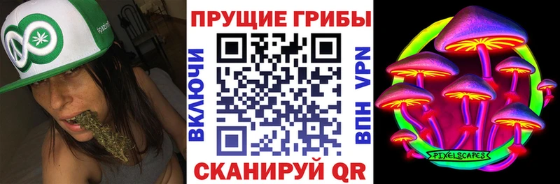 Псилоцибиновые грибы GOLDEN TEACHER  Рыльск 